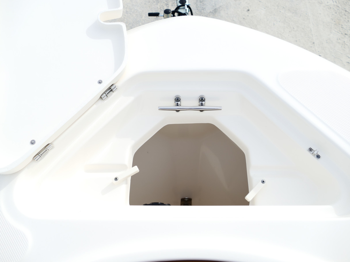 2026 Pioneer 202 Sportfish Seafoam Green Boat #29K Product Photo (2)