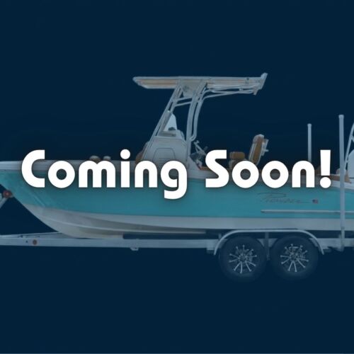 2027 202 Pioneer Islander Seafoam Green TBA4 Boat Coming Soon Default Photo (2)