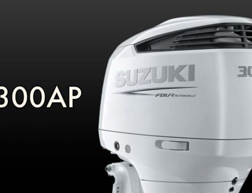 Suzuki DF300AP from 250+ Reviews: The Truth