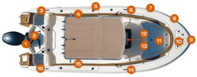 Pioneer 202 Sportfish Layout Floor Plan