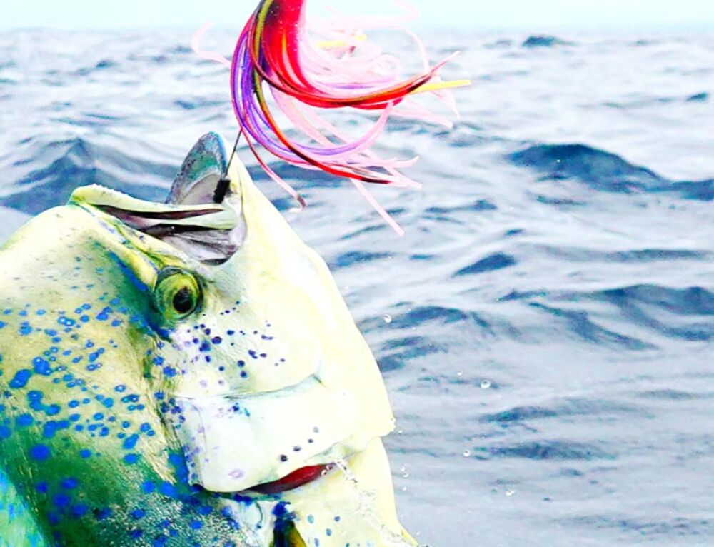 Rec 90 Is REC90 Fuel the Right Gas for Your Outboard Motor?