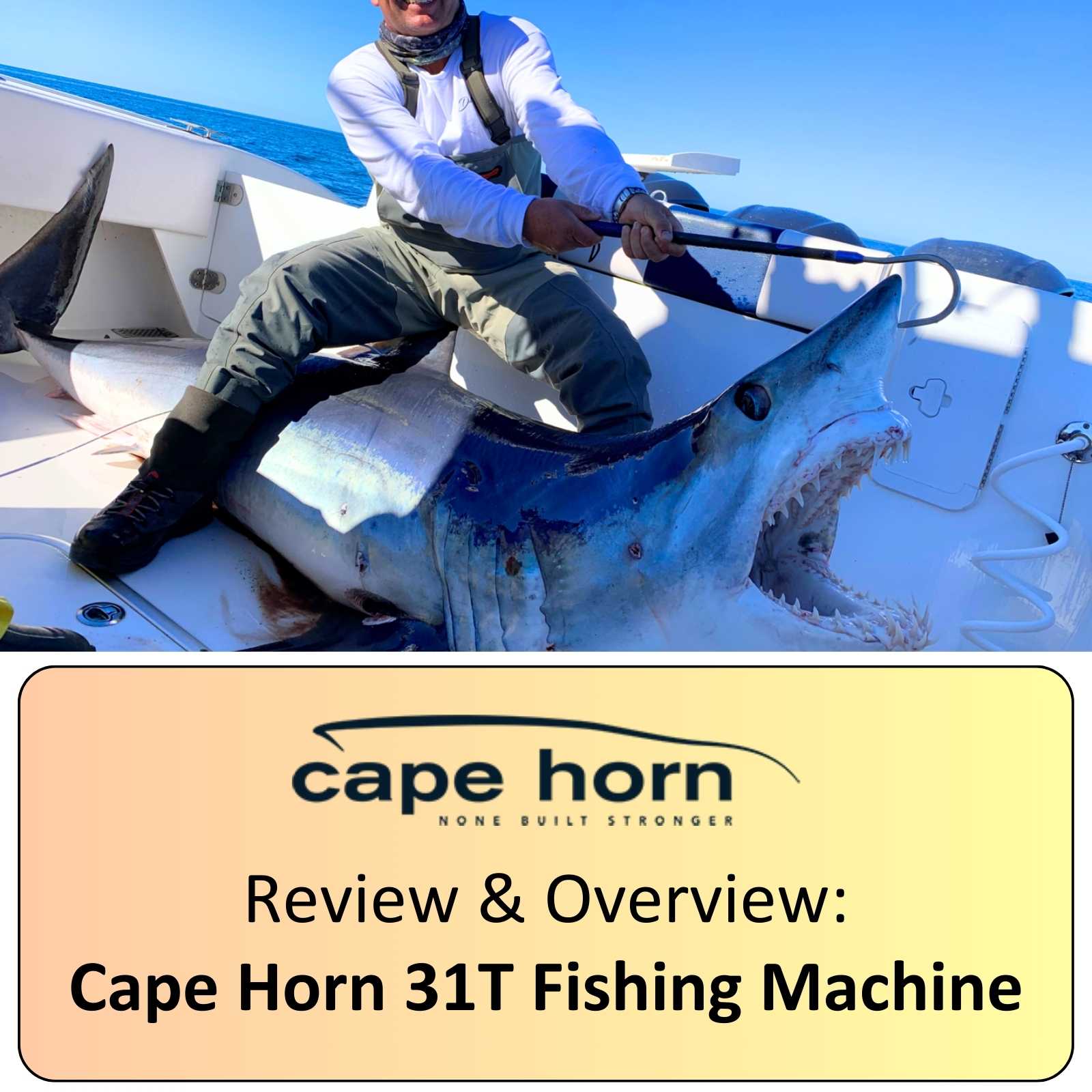 cape horn 31t boat model review fishing machine blog